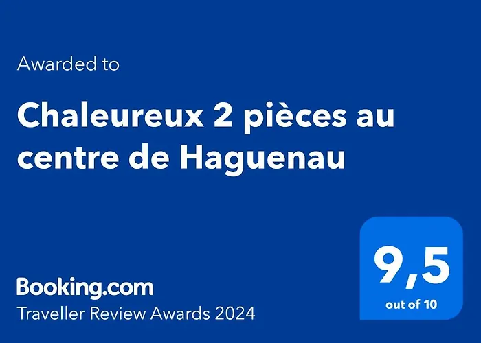 Chaleureux 2 pièces au centre de Haguenau